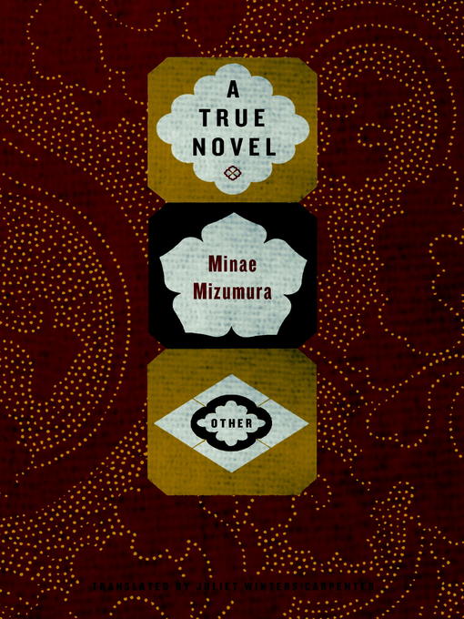 Minae Mizumura作のA True Novelの作品詳細 - 貸出可能